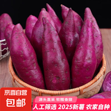 紫薯新鲜蔬菜根茎类生鲜 当季现挖湖北小紫薯 精品粗粮健康轻食 尝鲜装250g 单果1两+ 源头直采包邮
