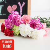 【康乃馨/玫瑰花】京东冷链鲜花云南基地直发礼物花束多色花期长4 混色康乃馨20枝