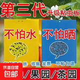 粘虫板黄板双面特粘蓟马蓝板诱虫板果蝇板针蜂贴果园专用茶园大棚 20*25cm升级强力超粘黄板100张