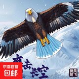 老鹰风筝大人专用儿童微风易飞网红潍坊成人大型新款卡通高档风筝 1.2米白老鹰风筝送50米线板
