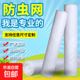 农用防虫网蔬菜大棚果园加厚防虫纱网耐晒养殖场专用防果蝇粉虱 60目【常规普通款】 1x10m