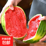 【夏季专属】正宗手撕西瓜2k小糖丸西瓜薄皮西瓜新鲜采摘产地直发 西瓜 小糖丸带箱4-5斤(1-2粒)