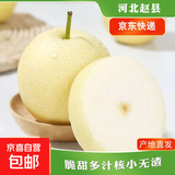 京喜加赵州皇冠梨河北皇冠梨产地直发 皇冠梨精品净重9斤