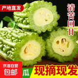 【京东物流】农家新鲜苦瓜蔬菜清热降火农家自种现摘现发生鲜 新鲜苦瓜 3斤 带箱