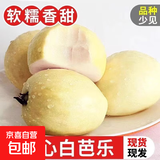 黄金奶油白心芭乐番石榴冰淇淋口感当季现摘新鲜水果整箱新鲜水果 带箱2斤