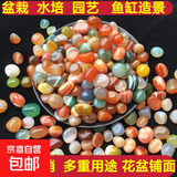 南京雨花石原石水培鹅卵石多肉铺面鱼缸盆栽七五彩小石头 小小雨花石0.4到0.9CM（50克）
