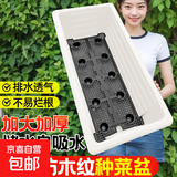 阳台种菜盆专用长条方形懒人特大号塑料家用自吸水家庭高脚花盆箱 【白色仿木纹种菜盆】 【自吸水1套】48*23*18cm