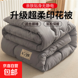 被子加厚冬被芯保暖四季通用冬天单人学生宿舍春秋被心空调被 升级款适合裸睡【经典灰】 110*150cm【2斤儿童午休被】