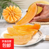 香甜可口金沙蜜哈密瓜高糖春季早熟哈密瓜 3-4斤（1-2粒装）