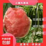 小糖丸迷你小西瓜脆甜多汁 1.5斤-4斤 1.5-2斤（单枚）