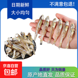 小鱼干 公干鱼海燕鱼 自制风干海鲜干货 500g