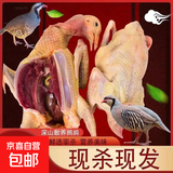 土鲜福现杀新鲜老鹧鸪鸟鸡非活体嘎嘎鸡飞龙肉散养鹧鸪肉生鲜鸟肉 2只鹧鸪