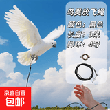 鹦鹉放飞绳不伤脚超轻脚环鸟用牵引绳外出遛鸟绳玄凤鹦鹉鸟类用品 3米超轻放飞绳(4号脚环)