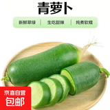 水果萝卜新鲜沙窝萝卜青萝卜生吃脆沙窝萝卜新鲜绿萝 新鲜水果萝卜3斤 带箱