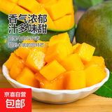 京喜加凯特芒果当季新鲜生鲜水果甜心热带现摘现发 带箱5斤 单果300g+