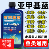 亚甲基蓝鱼药水族箱鱼缸消毒杀菌观赏鱼锦鲤白点烂身烂尾专用鱼药 500ml/瓶【6瓶】送量杯