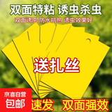 黄板双面粘虫板诱虫纸贴黄色飞虫小黑飞诱沾果蝇捕器粘板针蜂大棚 黄色【双面超强粘性】 15*10（10片）