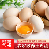 京喜加土鸡蛋 新鲜鸡蛋山林自养 生鲜溏心蛋 卤蛋早餐京东买菜40g正负5g 鸡蛋6枚装240g+【活动专属】