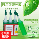 养花卉多肉绿萝富贵竹发财树多肉花草花木小瓶植物通用营养液肥料 新人专属立减5元【纯有机肥料】 低浓缩营养液【1支】