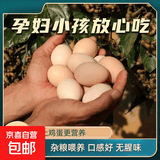 土鸡蛋45g-49g/枚无抗散养草鸡蛋 20枚 精选45g-49g/枚 约1000g