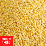 大黄米粘米 糜子米 五谷杂粮黄米粽子粥粘糯年糕黄米糕 大黄米900g