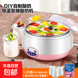 酸奶机家用全自动小型恒温酸奶机酵素机米酒机纳豆智能精准控温发酵机 粉色1L 【送3分杯+1大包菌粉（内含10小包）】