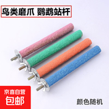 鹦鹉磨嘴魔爪棒磨砂站杆鸟笼站棍站架不锈钢专用磨牙用品 鸟类通用-1.7cm*10cm-颜色随机