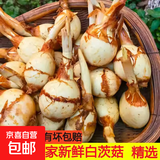 云南白茨菇新鲜农家自种白菇蘑菇白菇白花菇食用菌菇慈姑 新鲜白茨菇 3斤