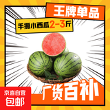 山东正宗头茬2k手剥皮小西瓜薄皮新鲜冰激凌小糖丸超甜手撕小吊瓜 净重2-3斤 手撕小西瓜