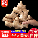 【精品】山东大黄姜水洗不带土净姜山东大姜生姜干姜新鲜蔬菜佐料 2斤
