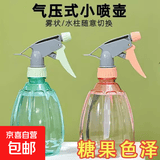 喷壶浇花浇水喷雾器家用园艺养花压力洒水壶气压式喷水壶消毒清洁 透蓝【1个装】 500ml