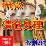德国进口钢剪树剪子果树剪修枝剪刀家用花木葡萄修剪镐斧剪子大全 【随机款】1把剪/剩3单 无规格