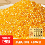 【京东快递】东北玉米糁农家自产新鲜苞米渣大渣熬粥 玉米糁500g*4袋