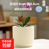 盆生花道特价花盆陶瓷简约透气带托盘家用阳台盆栽绿植多肉盆厂家 1个小号竖纹哑柠檬（配托盘） 无规格
