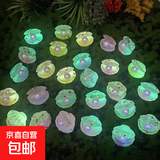 仿真夜光珍珠七彩贝壳儿童迷你微缩小摆件洞洞鞋配件发夹发绳材料 彩色珍珠贝壳【5个】