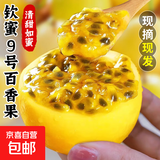 广西钦蜜9号黄金百香果30g+九号新鲜生鲜白香果水果送礼品物盒 【超划算】5斤装丨净重4.5斤 单果30g+