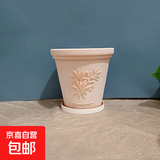 红陶花盆绿植盆栽透气陶瓷雾白浮雕花盆吸水透气香草盆 香草（不带托盘） 口径16*高14cm