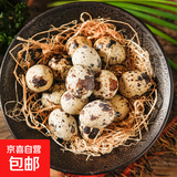 新鲜农家鹌鹑蛋当天现捡现发新鲜食用宝宝孕妇营养辅食整箱包邮 鲜鹌鹑蛋100枚