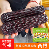 山西精品黑糯玉米 真空包装 当季头茬黑玉米黑珍珠甜糯玉米粘玉米 黑糯玉米真空包装2根