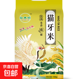 当季产地正宗优质猫牙米煲仔饭炒饭专用米新籼 长粒香软大米 猫牙长粒香20斤--1袋