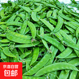 荷兰豆新鲜蔬菜青豌豆甜脆豌豆苗四季豆扁豆当季时令新鲜蔬菜 新鲜荷兰豆1斤【农家自种】