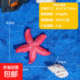 鱼缸水族装饰微景观仿真珊瑚海星摆件 造景绝美戏水玩具 仿真树脂珊瑚水族1个【海星】