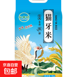当季产地正宗优质猫牙米煲仔饭炒饭专用米新籼 长粒香软大米 猫牙长粒香10斤--1袋