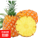 金钻凤梨17号海南新鲜水果无眼菠萝热带水果当季 1枚装试吃 单果400g+