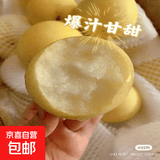 正宗河北皇冠梨饶阳皇冠梨产地直发单果180g+ 带箱2斤装（净重1.6-1.8斤）