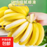钦州小米蕉 皮薄肉厚香蕉 软糯香甜水果 青皮发货 1斤