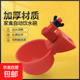 家禽养殖小鸡鸭鹅自动饮水碗饮水器鸽用自动喝水饮水碗鹌鹑鸡食槽 10个单独水碗【爆卖款】