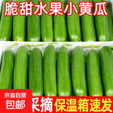 山东荷兰水果黄瓜青瓜无刺小黄瓜生吃水果蔬菜减脂轻食源头直发 净重 4斤