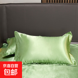 夏季双面水洗冰丝纯色凉感枕头套可机洗可水洗亲肤 果绿色 单只 48*74cm