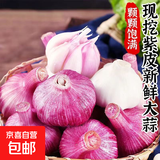 新干蒜蔬菜糖醋蒜烧烤火锅调料食材大蒜 5头装100g 3.5-5cm